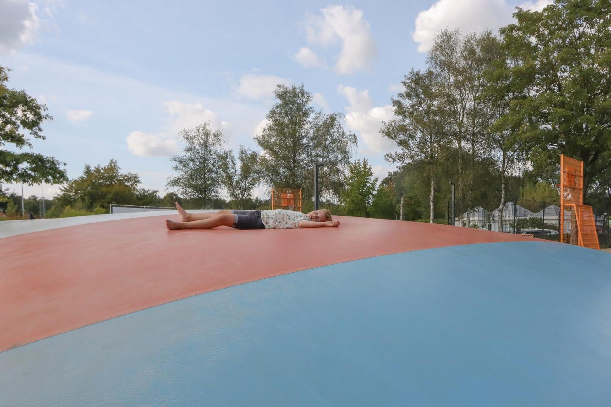 Wellness Chalet Veluwemeer ビッディングハイゼン エクステリア 写真